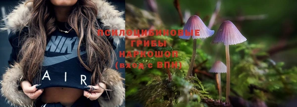 бутират Алзамай