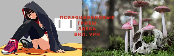 MDMA Алексеевка