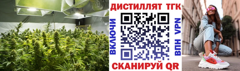 ТГК THC oil  цена наркотик  Сорочинск 