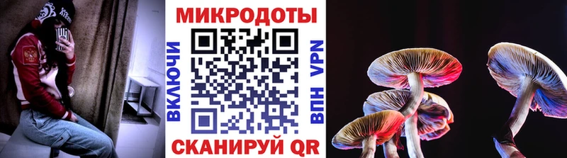 купить закладку  Сорочинск  Псилоцибиновые грибы Psilocybe 