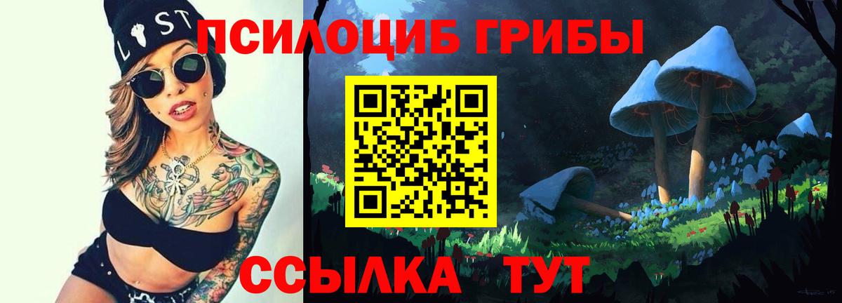 Сорочинск  Галлюциногенные грибы Psilocybe  Вход с VPN 